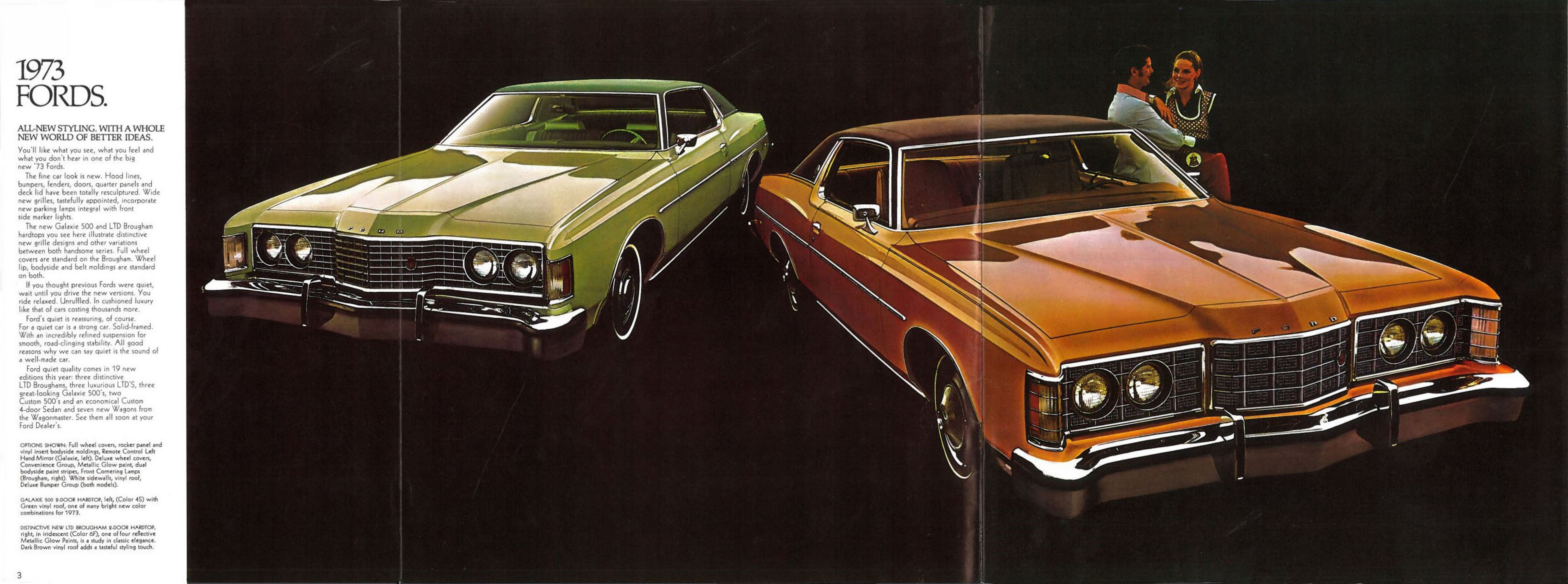 1973 Ford Full Size (Cdn)-03-04-05