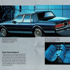 1988 Chevrolet Cars and Trucks_009