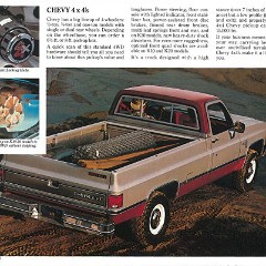 1982_Chevrolet_Pickup_Cdn-04