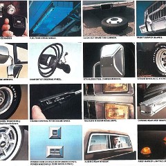 1982_Chevrolet_Pickup_Cdn-10