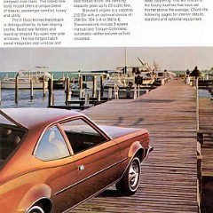 1973_American_Motors-06