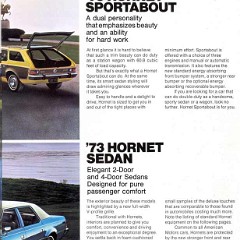 1973_American_Motors-08