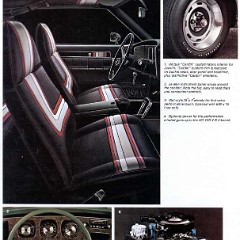 1973_American_Motors-13