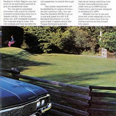 1973_American_Motors-16