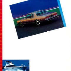 1986_Chevrolet_Caprice-16