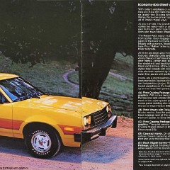 1980_Ford_Pinto-12-13