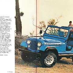 1981_Jeep_CJ-02-03