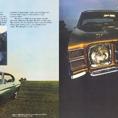 1971_Chevrolet_Chevelle-08-09