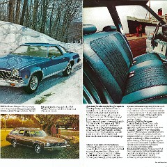 1973_Chevrolet_Chevelle-10-11