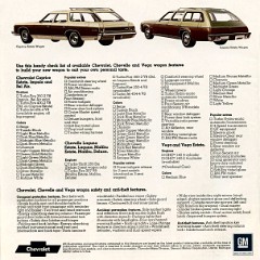 1973_Chevrolet_Wagons_Rev-20