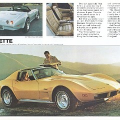 1974_Chevrolet_Full_Line-11