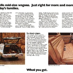 1976_Chevrolet_Wagons-08