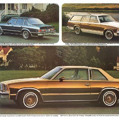 1979_Chevrolet_Malibu-04-05
