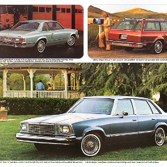 1979_Chevrolet_Malibu-06-07