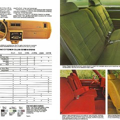 1979_Chevrolet_Malibu-10-11