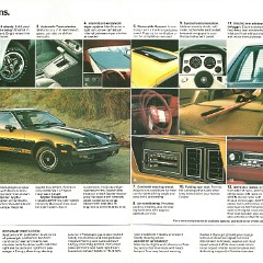 1979_Chevrolet_Monza-10-11