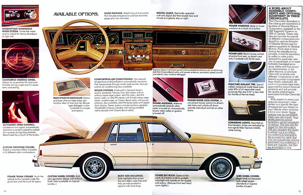 1980_Chevrolet_Caprice_Classic-08