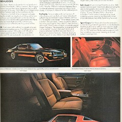1980_Chevrolet_Full_Line-12-13