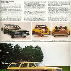 1980_Chevrolet_Full_Line-16-17