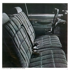 1981_Chevrolet_Full_Size-06