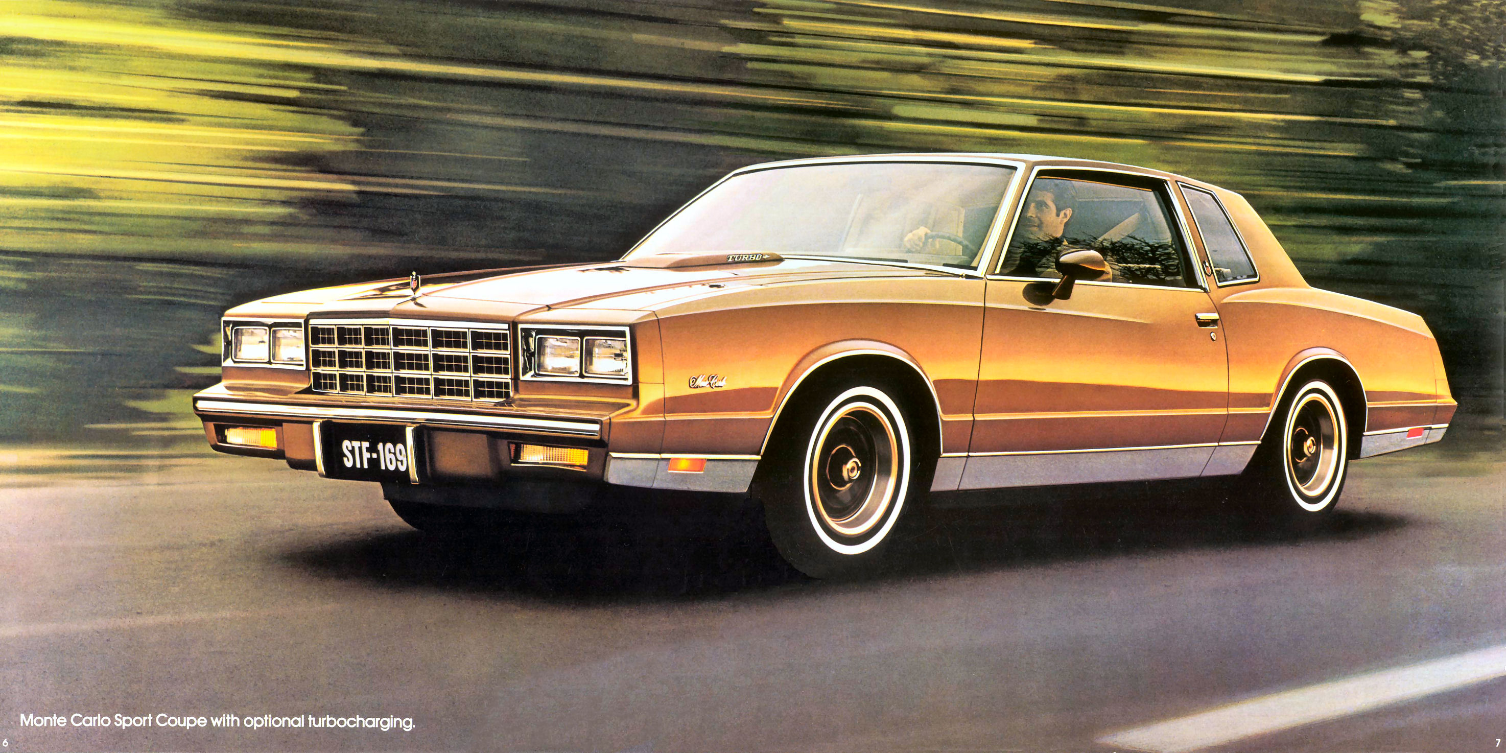 1981_Chevrolet_Monte_Carlo-06-07