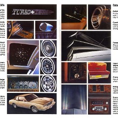 1981_Chevrolet_Monte_Carlo-12-13