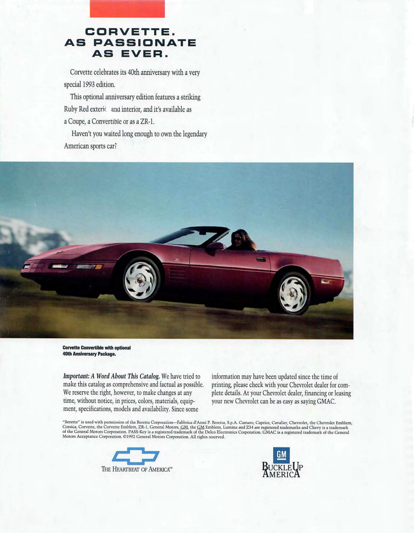 1993 Chevrolet Full Line-20