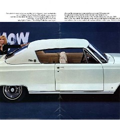 1967 Dodge Polara & Monaco Brochure  06-07