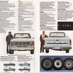 1982_Ford_Pickup-18-19