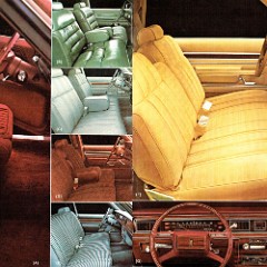 1980_Ford_LTD-10-11