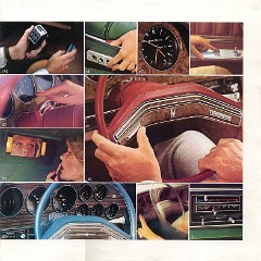 1978_Ford_Thunderbird-10