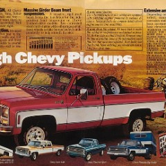 1979_Chevrolet_Trucks-02
