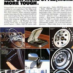 1980_Chevrolet_Vans-12