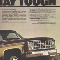 1980_Chevrolet_Pickups-03