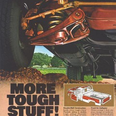 1980_Chevrolet_Pickups-08