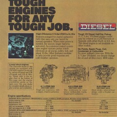 1980_Chevrolet_Pickups-10