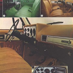 1980_Chevrolet_Pickups-13