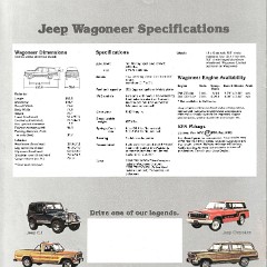 1981_Jeep_Wagoneer-12