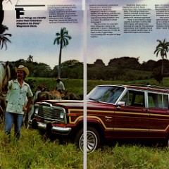 1981_Jeep_Wagoneer__export_-02