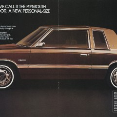 1981_Plymouth_Reliant-10-11