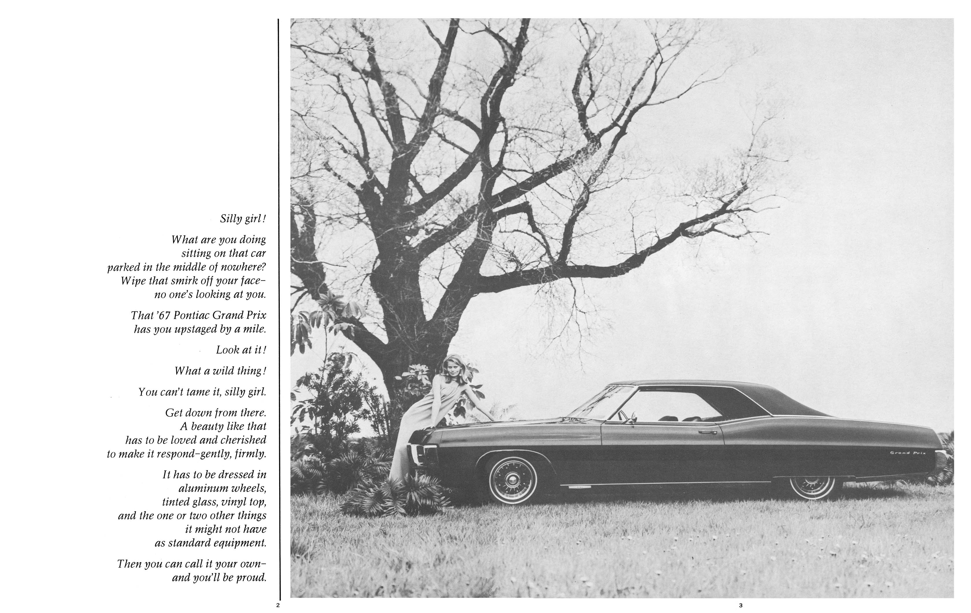 1967_Pontiac_Accessories-02-03