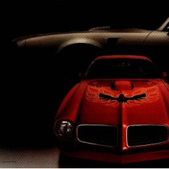 1973 Pontiac Firebird Foldout 02-03-04