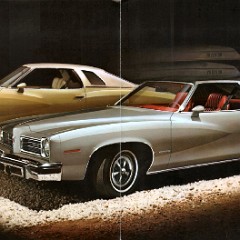 1974_Pontiac_LeMans-04-0-5