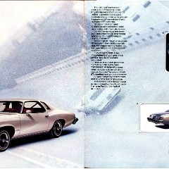 1976 Pontiac LeMans  Brochure_06-07