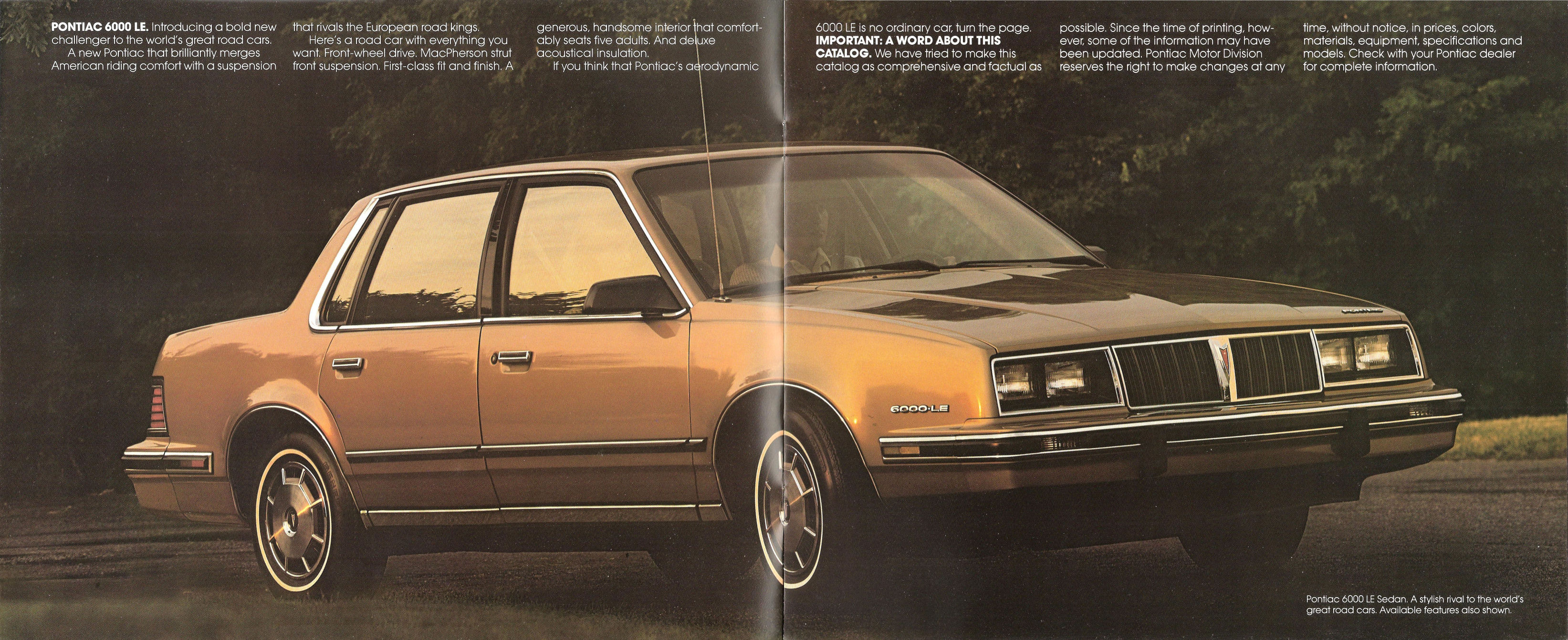 1982_Pontiac_6000-02-03