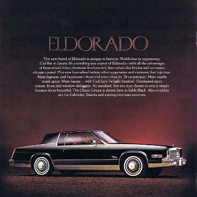 1979 Cadillac Full Line-19