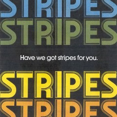 1974 Dodge Stripes 1974 Dodge Stripes
