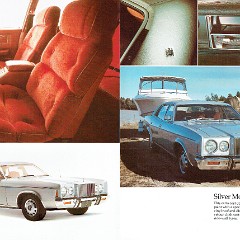 1976_Ford_P6_LTD_Rev-in14-15