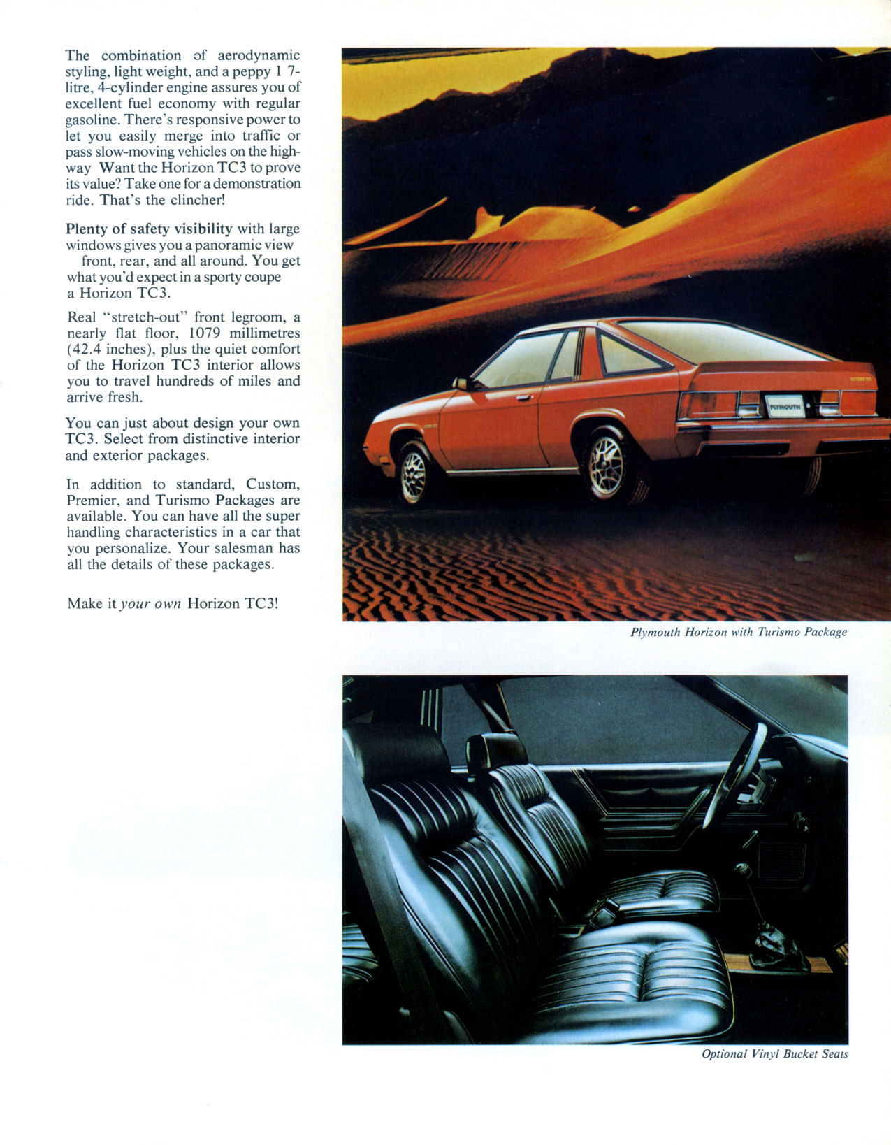 1980_Plymouth_Horizon_Cdn-03