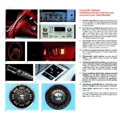 1984_Plymouth_Caravelle_Cdn-07